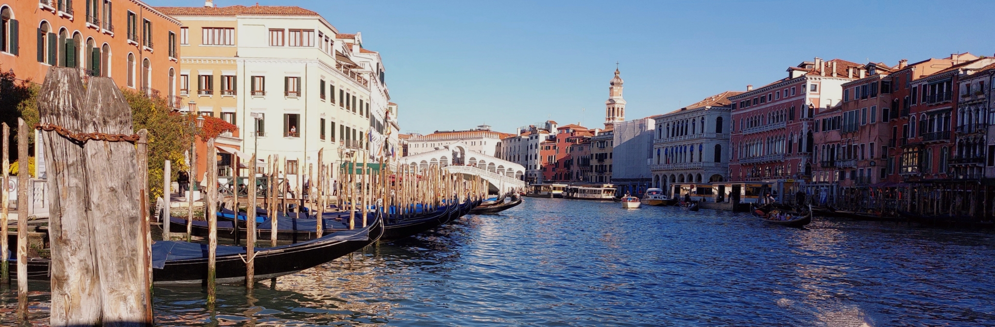 1 profile photo Rialto Bridge